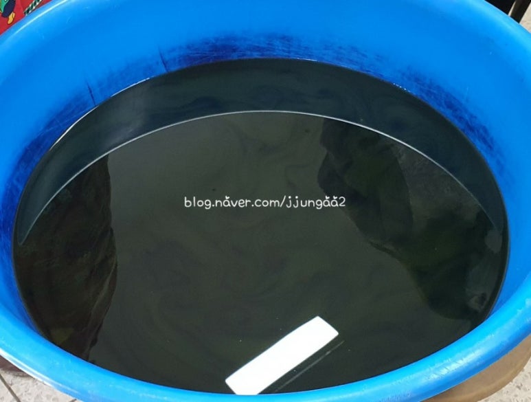 쪽빛나라 이미지