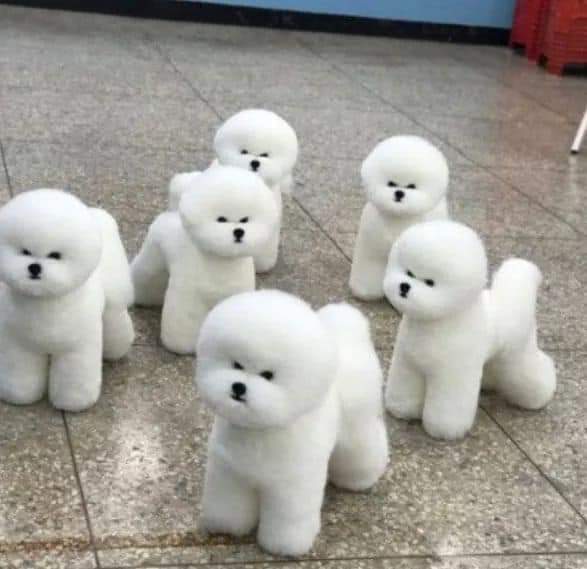 골드짐 이미지