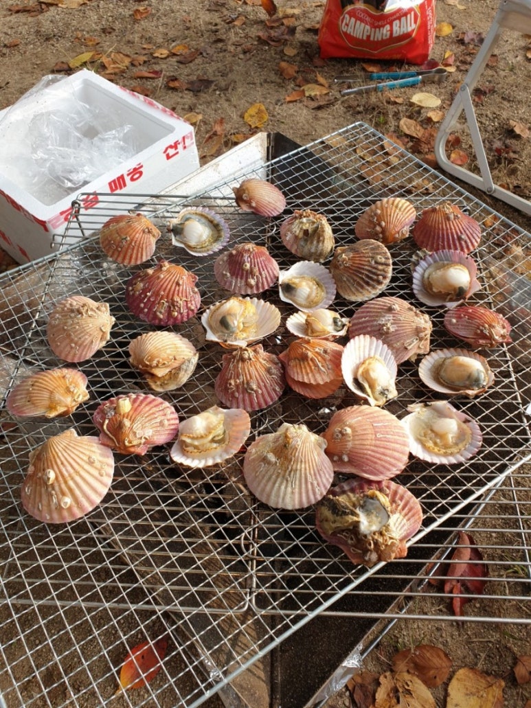 용인반딧불캠핑장 이미지