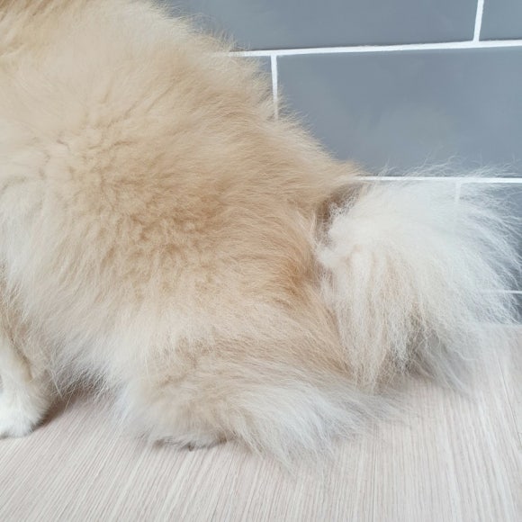 가온테라피 이미지