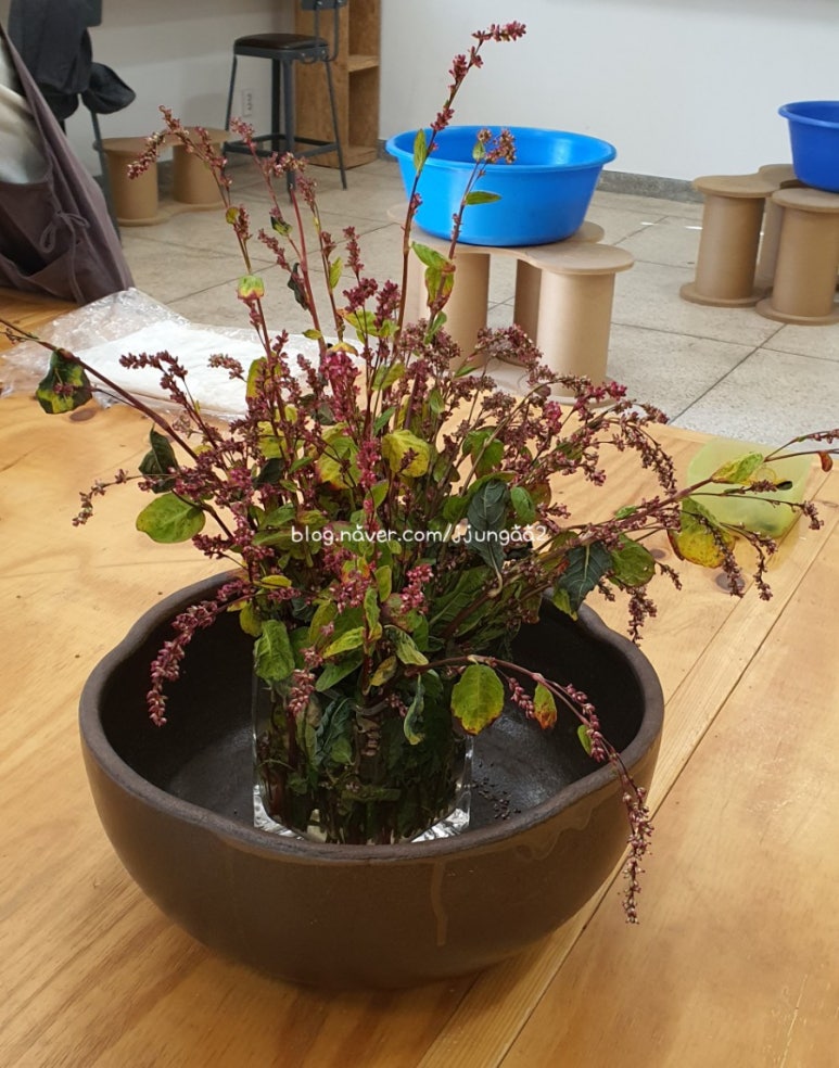 쪽빛나라 이미지