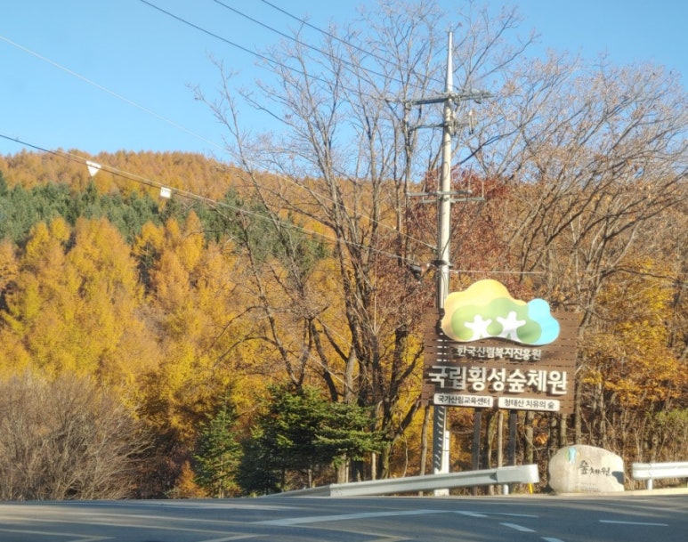 국립횡성숲체원 이미지