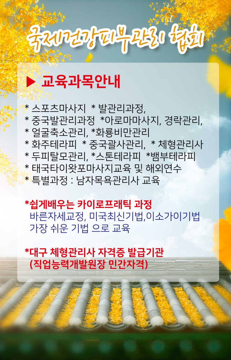 대한마사지협회 이미지