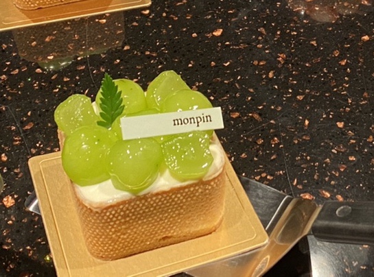 몽핀(monpin) 이미지