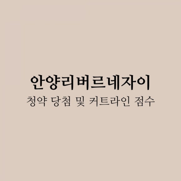 르네41 이미지