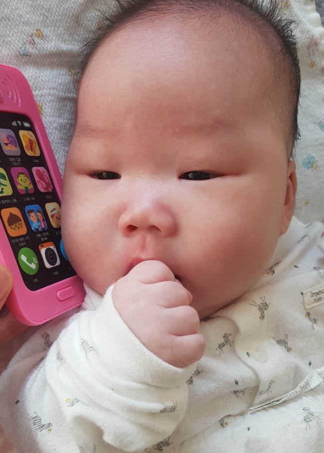 국민주먹고기 이미지