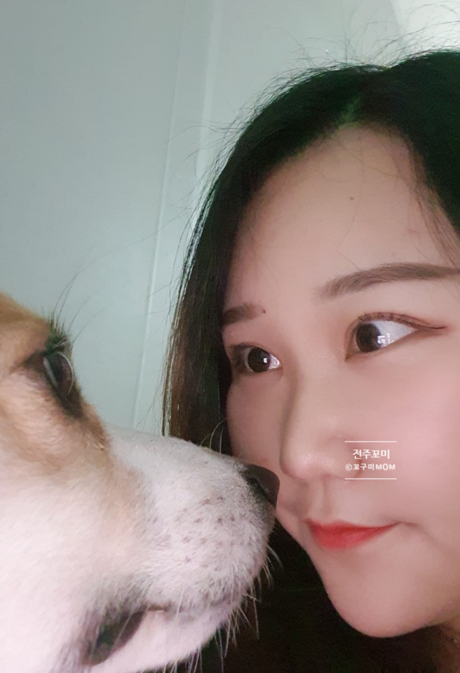 성꼬미 이미지
