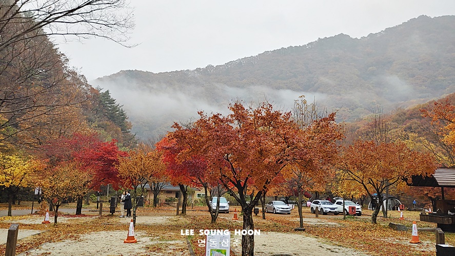 오토드라이브주 이미지