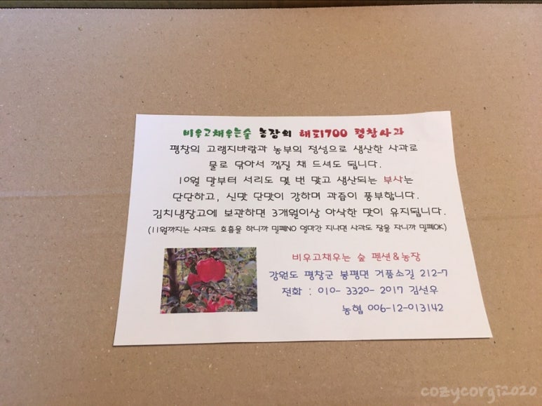 비우고채우는숲 이미지