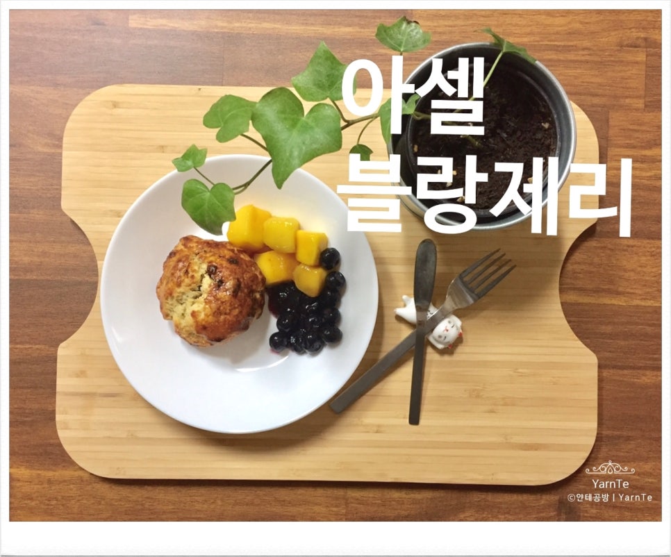 아셀블랑제리 이미지