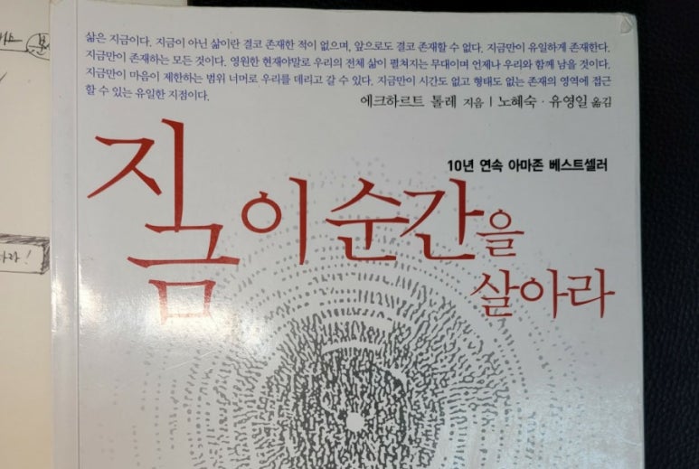 지금 이 순간을 살아라 독후감 / 에크하르트 : 네이버 블로그
