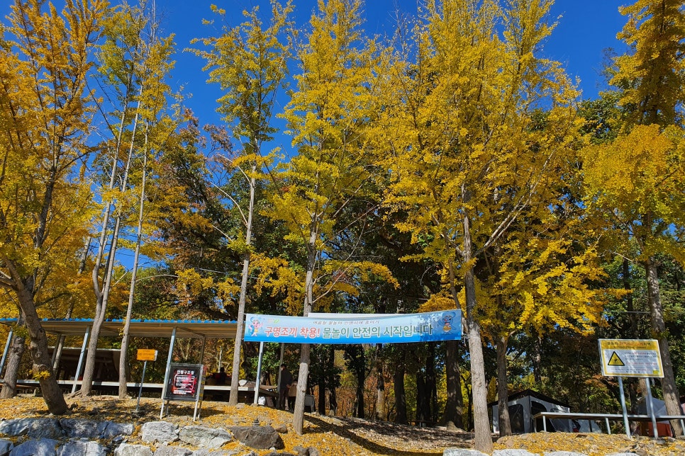 금관숲캠핑장 이미지