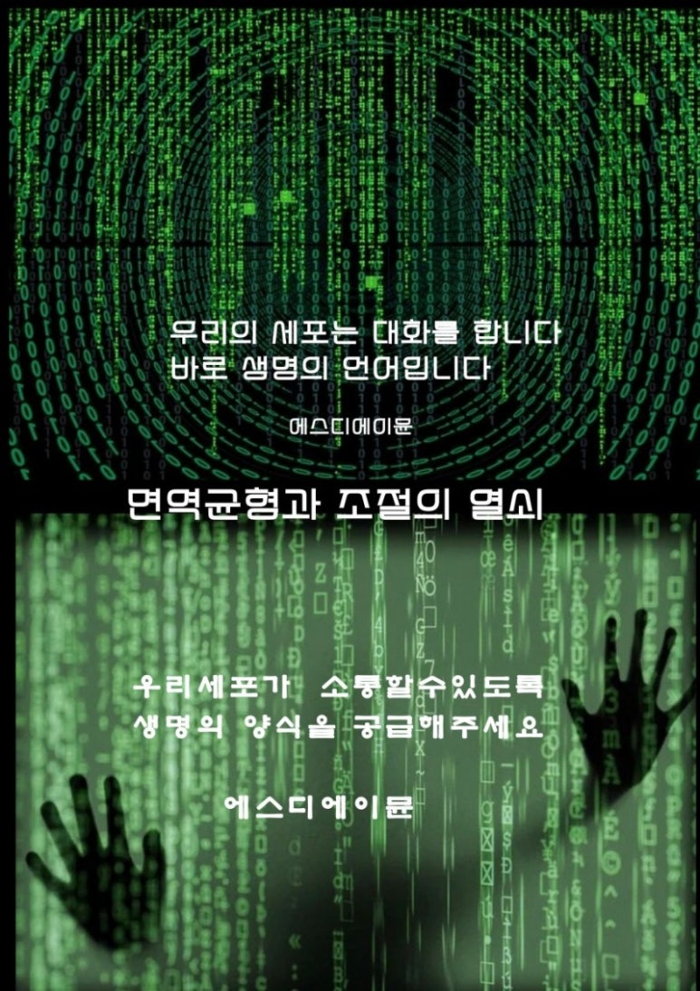 에이스파이브 이미지