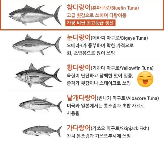 이가참치 이미지