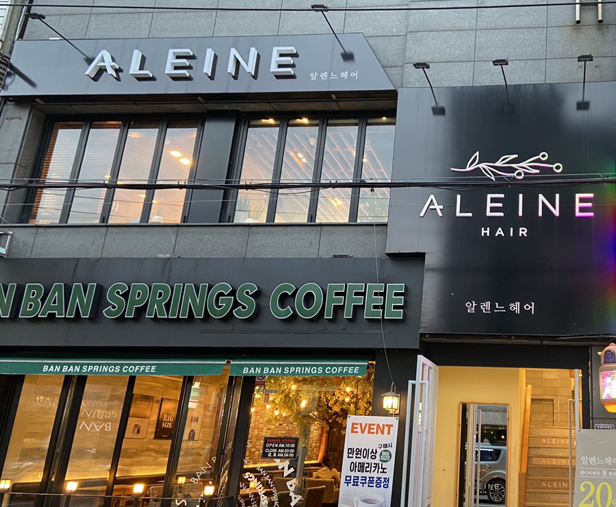 헤어알렌느 이미지