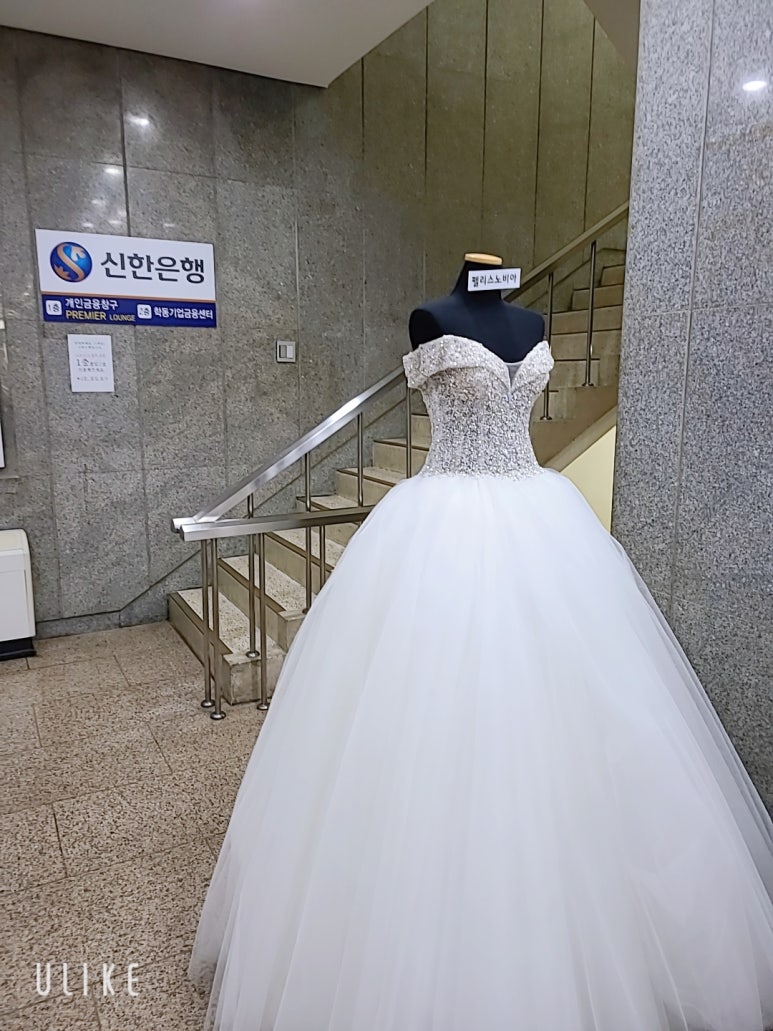 쥬비드 이미지