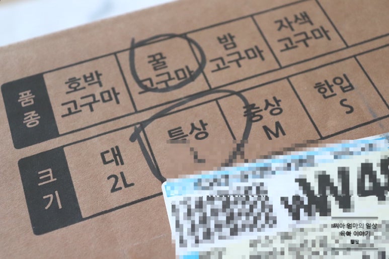 못골농장법인 이미지