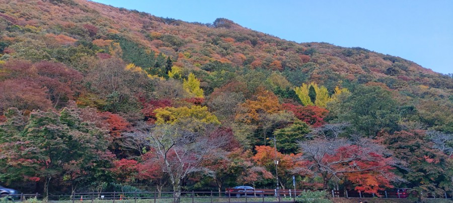 순천장의사 이미지
