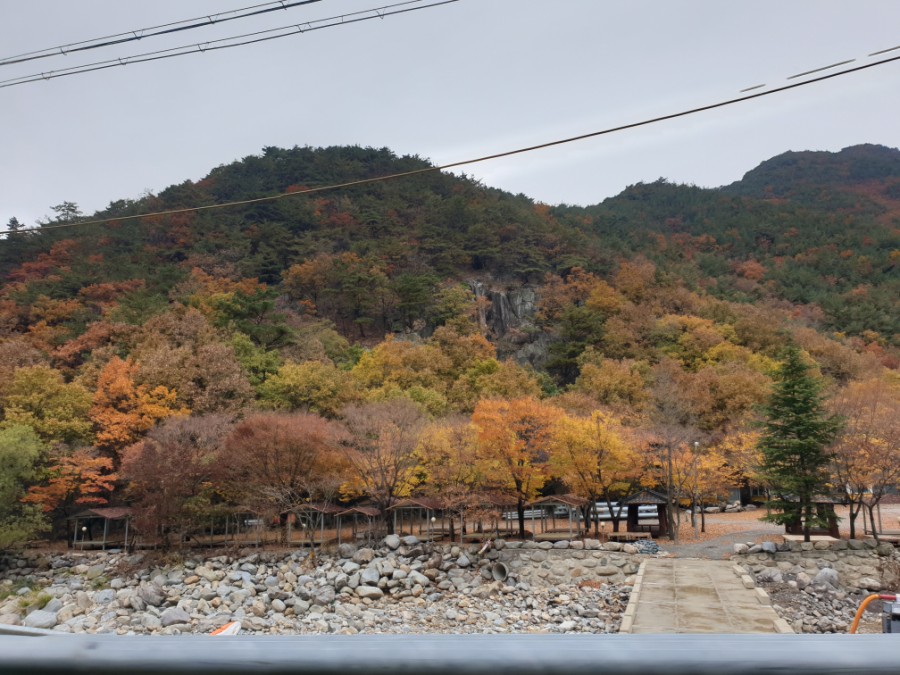 한우초참숯불구이점 이미지