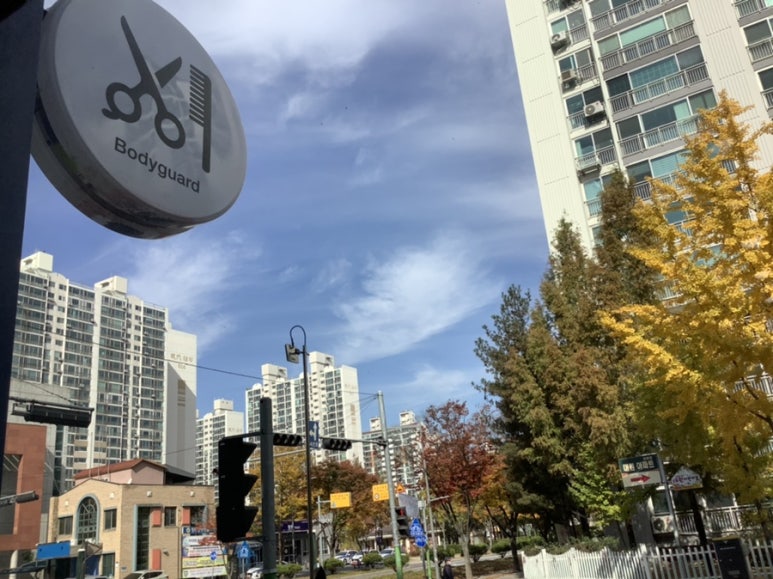 헤어보디가드 이미지