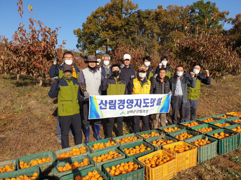 강화군 산림조합 이미지