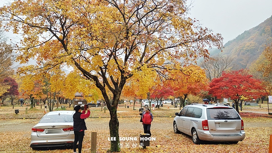 오토드라이브주 이미지