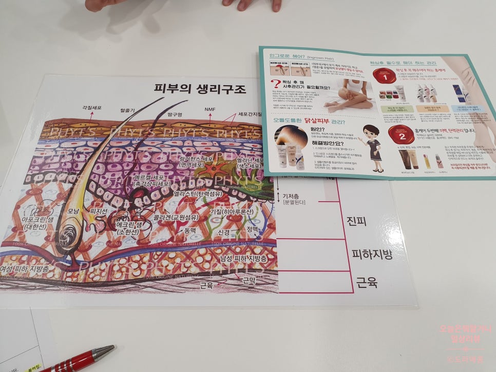 라이콘 스파에센셜 뷰티랩 이미지