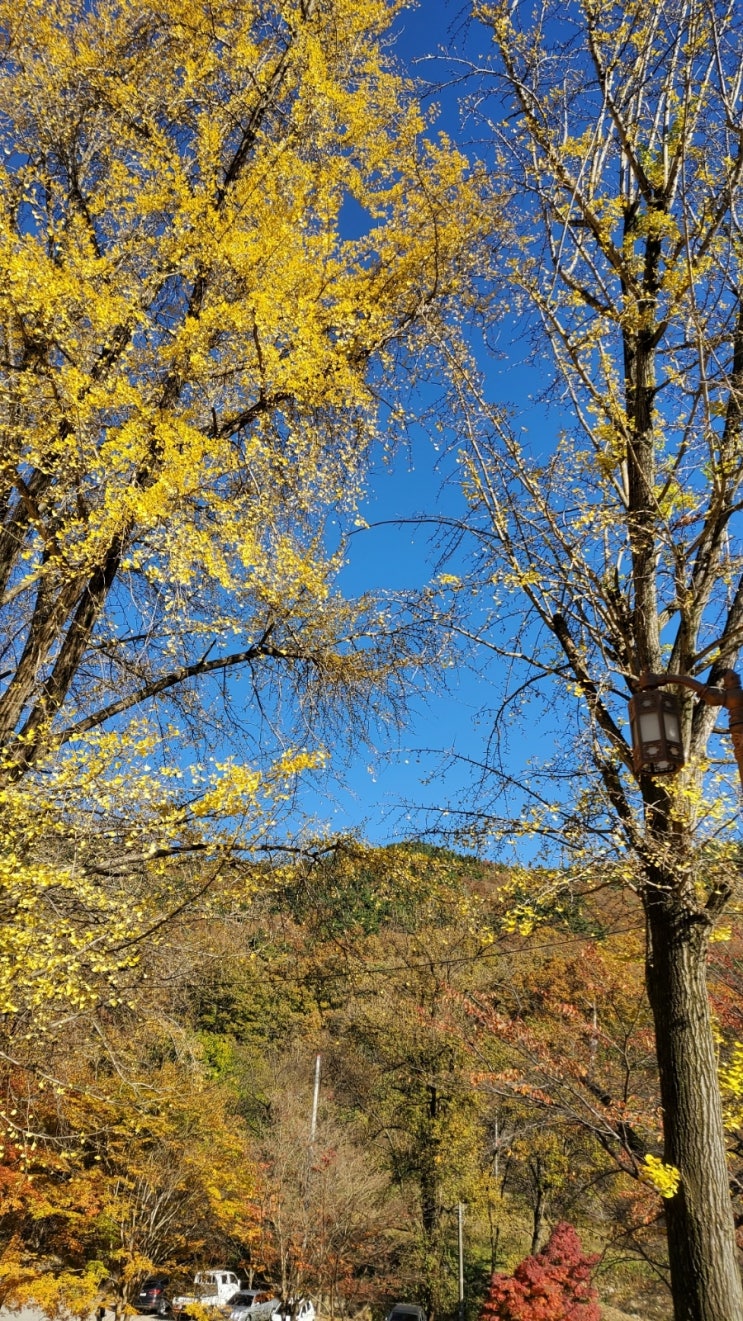 상송쉼터 이미지