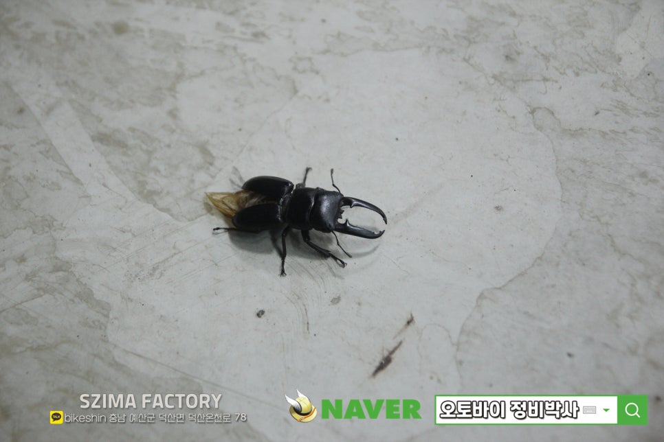 스마트간판 이미지