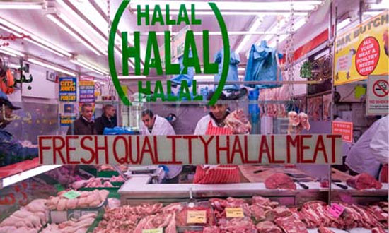 할랄푸드(HALAL FOOD) 이미지