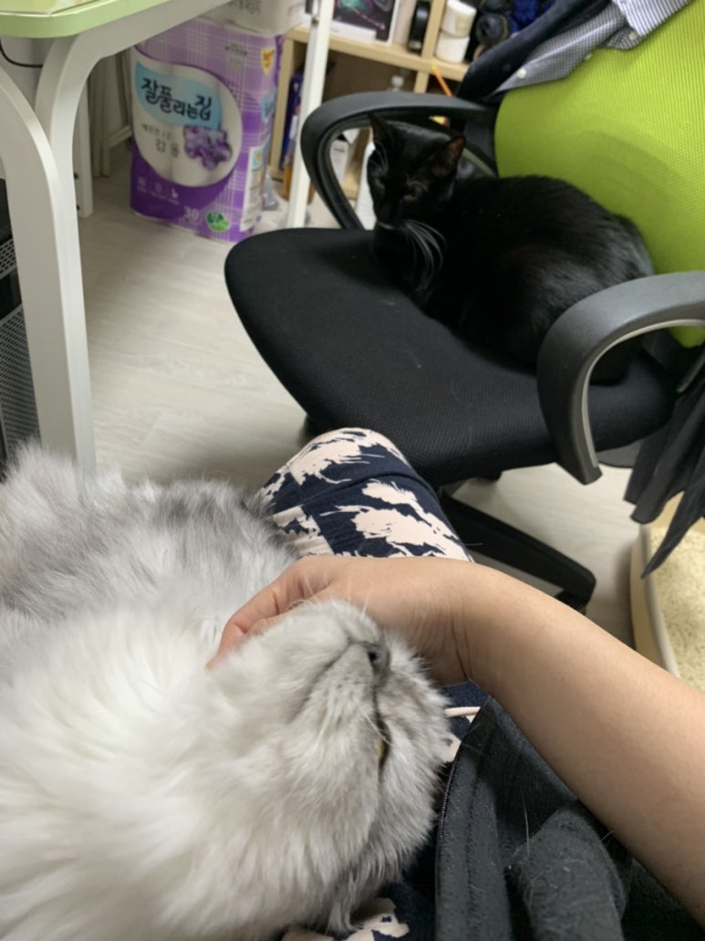 코코실업 이미지