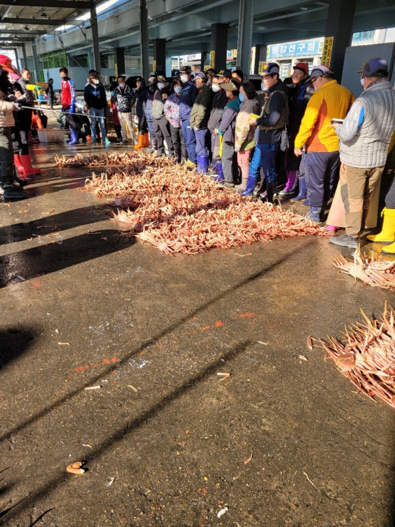 산호대게직판장 이미지