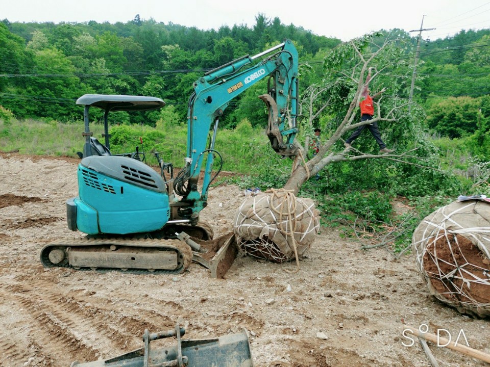 명성건설중기 이미지