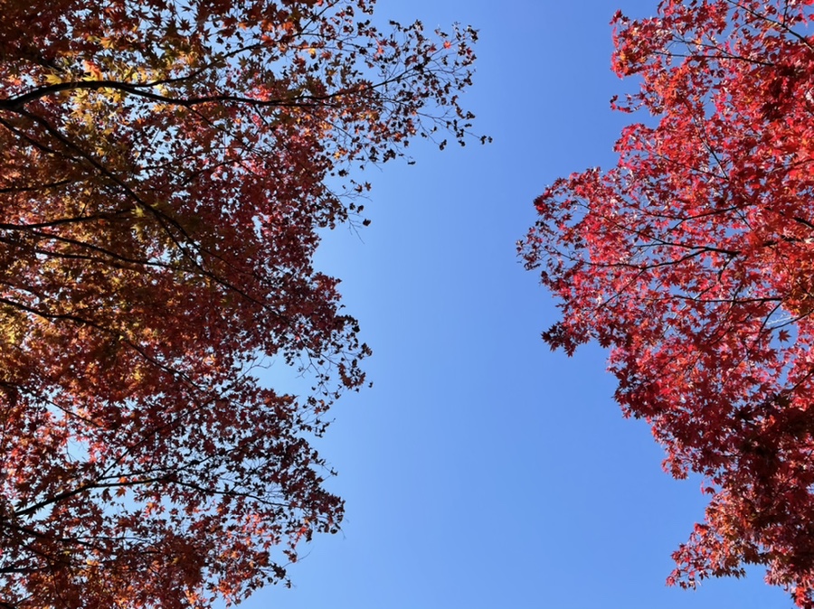 울산제일충전소 이미지