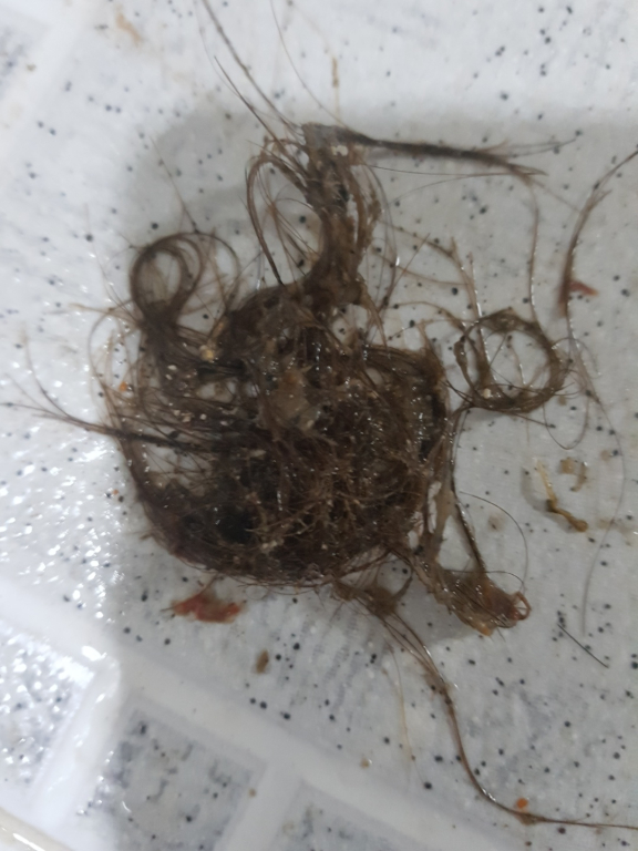 영통하수구막힘싱크대막힘변기막힘뚫음 이미지