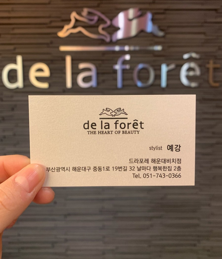 드라포레비치점 이미지