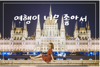 협동조합 강원피스투어 이미지