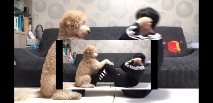 3GO점핑Fit 이미지