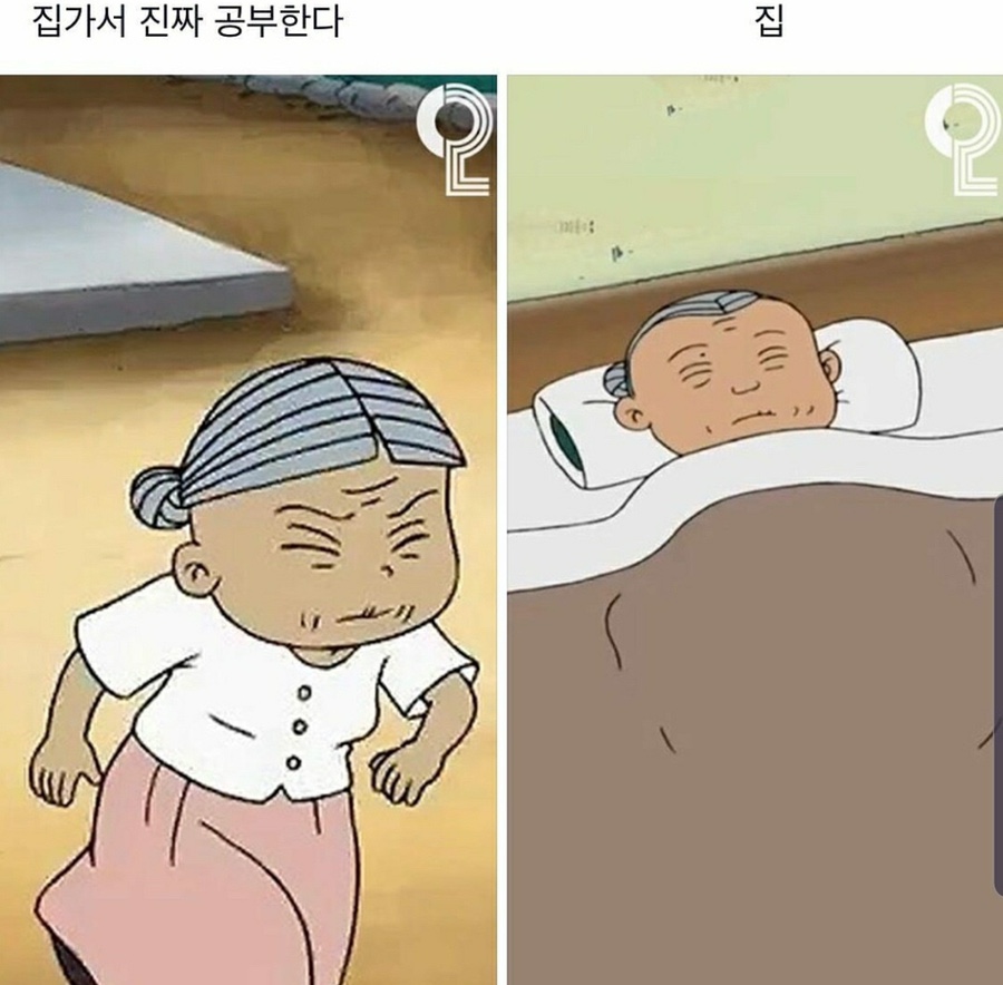 피크닉스시 이미지