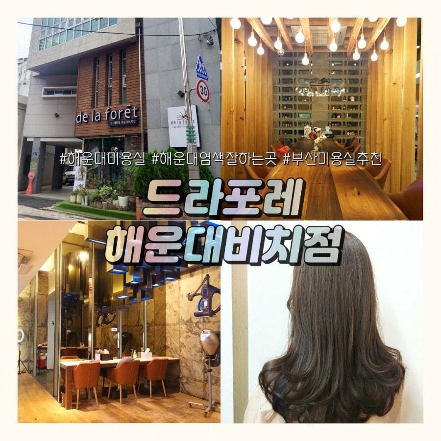 드라포레비치점 이미지