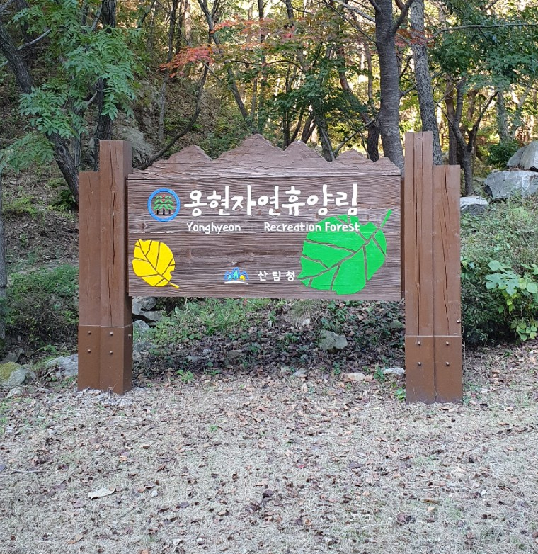 용현할인마트 이미지