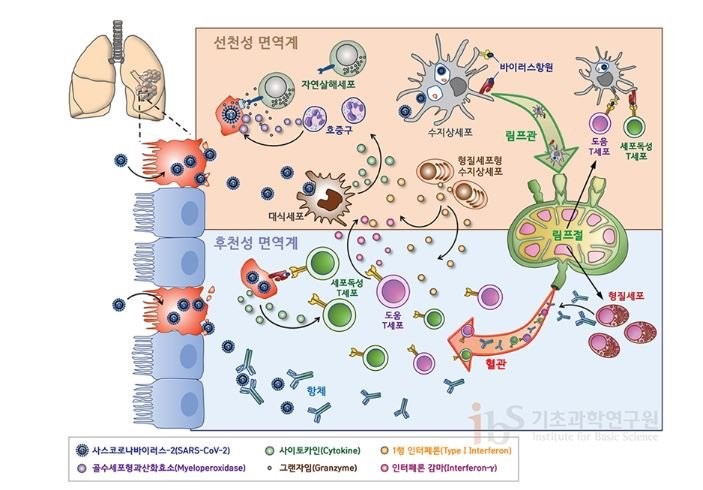웰핏 이미지