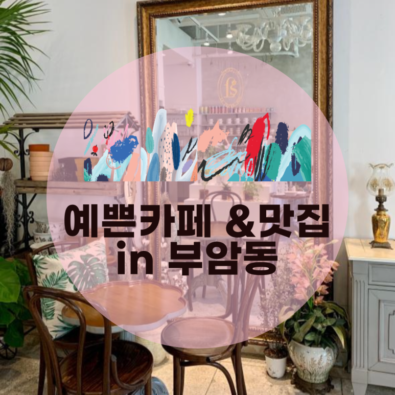 라플레르수 이미지