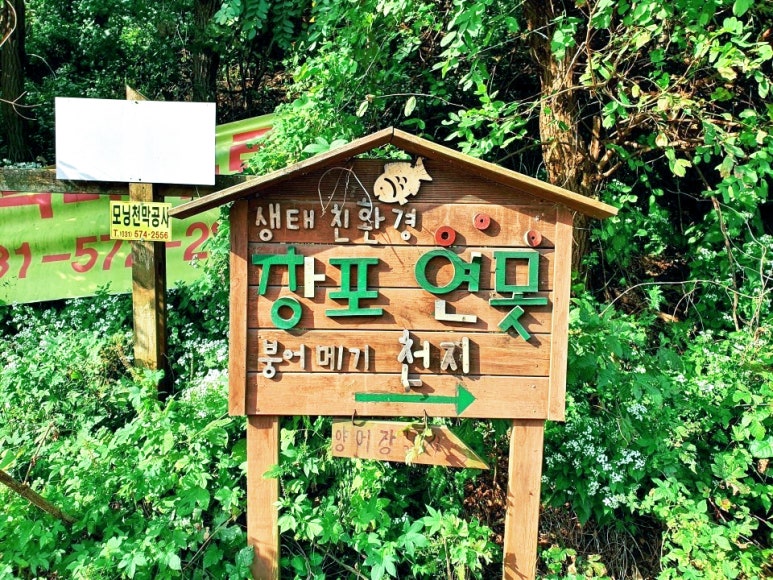 창포연못낚시터 이미지