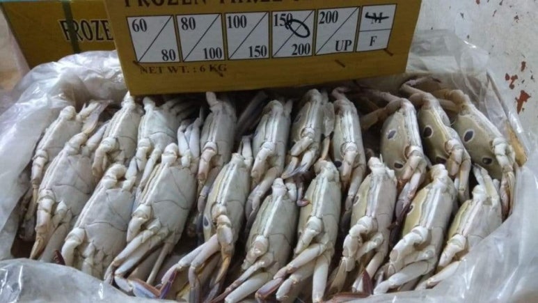 (주)삼**** 이미지
