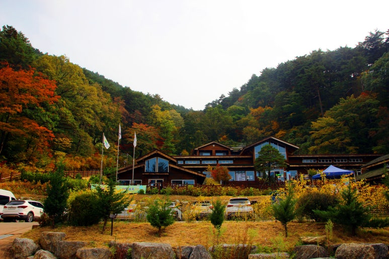 국립대관령치유의숲 이미지