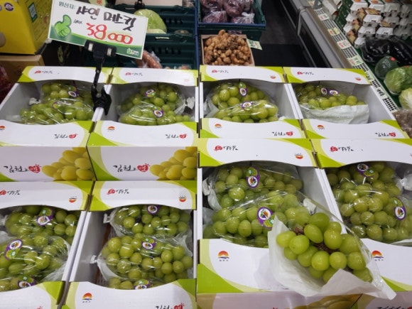 총각네수지 이미지