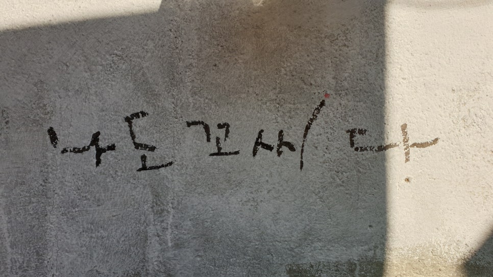 꼬씨꼬씨 이미지