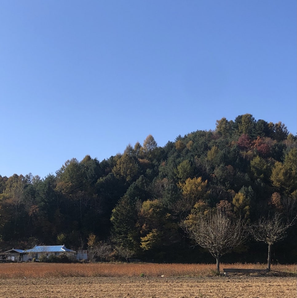 대림장 이미지