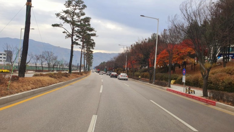 라파안마원 이미지